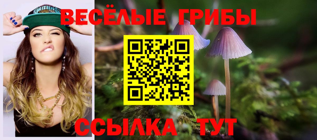 Псилоцибиновые грибы Magic Shrooms  Вход с VPN  Елабуга  Псилоцибиновые грибы Psilocybe 