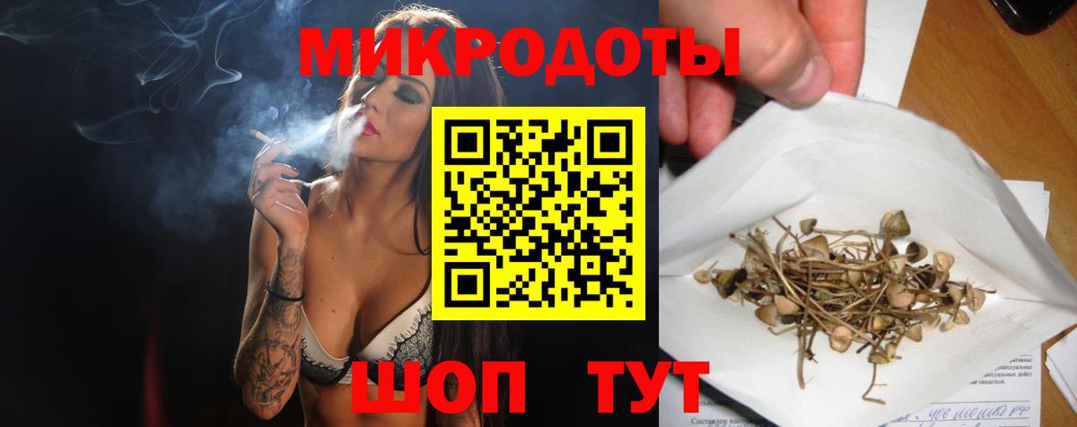 Галлюциногенные грибы мухоморы Елабуга